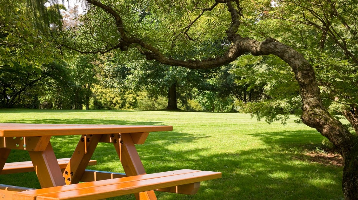 $55 Million Grant Awarded for Illinois Park Projects